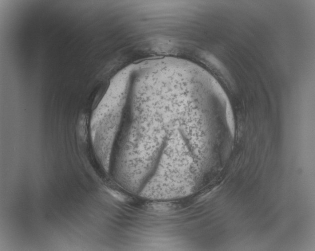 X0000074260121200609222201