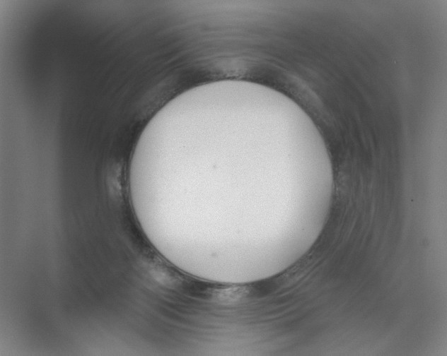 X0000074260122200609222201