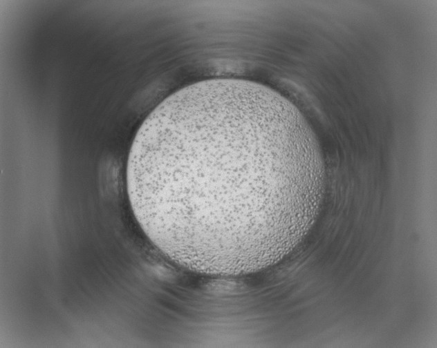 X0000074260123200609222201