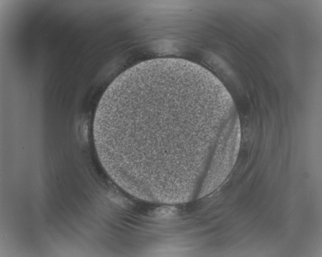 X0000074260124200609222201