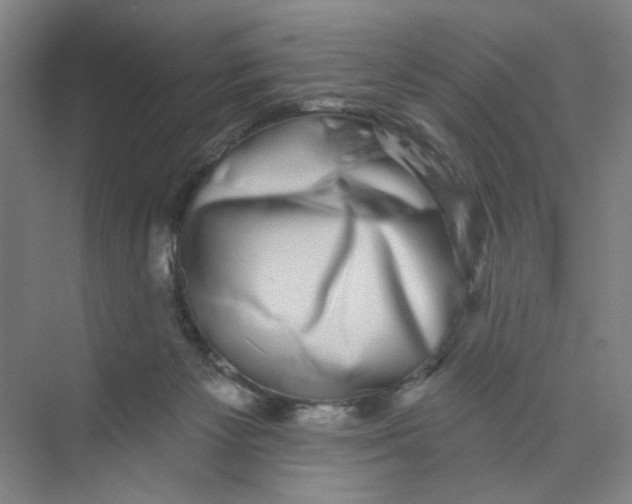 X0000074260125200609222201