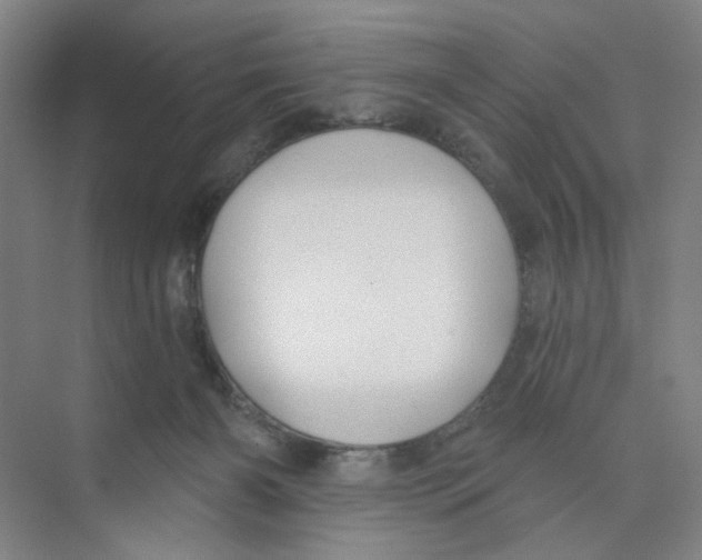 X0000074260126200609222201