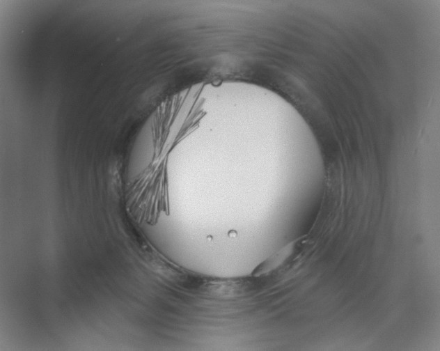 X0000074260127200609222201