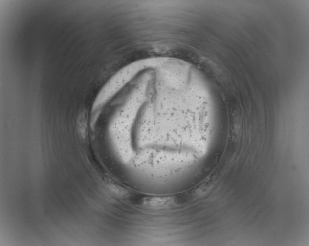 X0000074260129200609222201