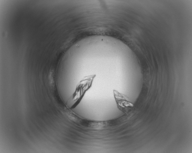 X0000074260131200609222201