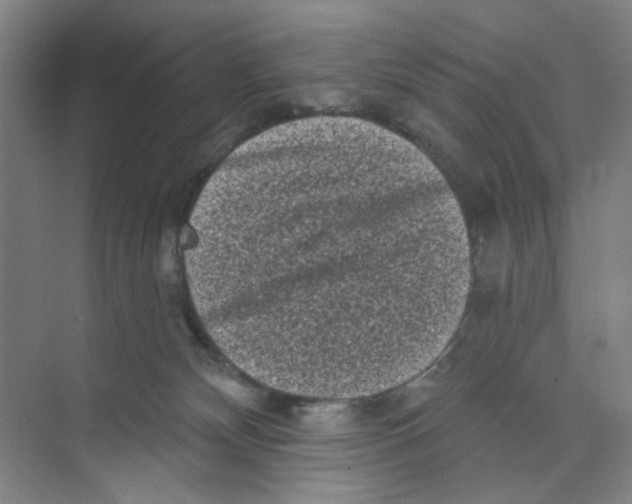 X0000074260132200609222201