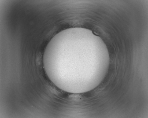 X0000074260133200609222201