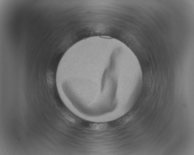 X0000074260135200609222201