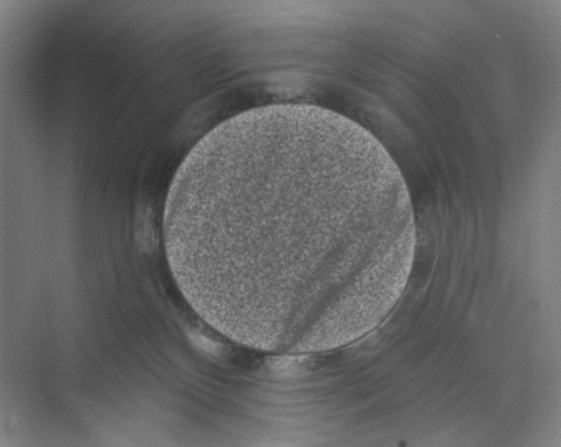 X0000074260136200609222200