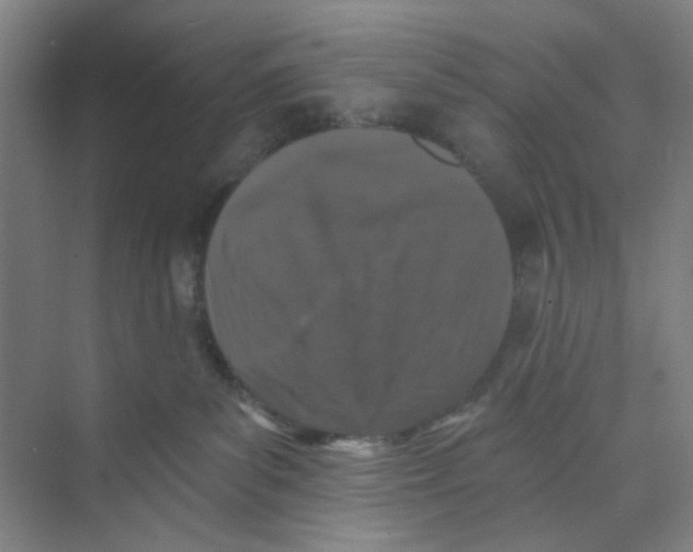 X0000074260139200609222200