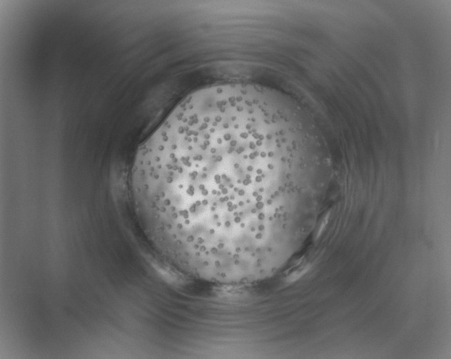 X0000074260141200609222200