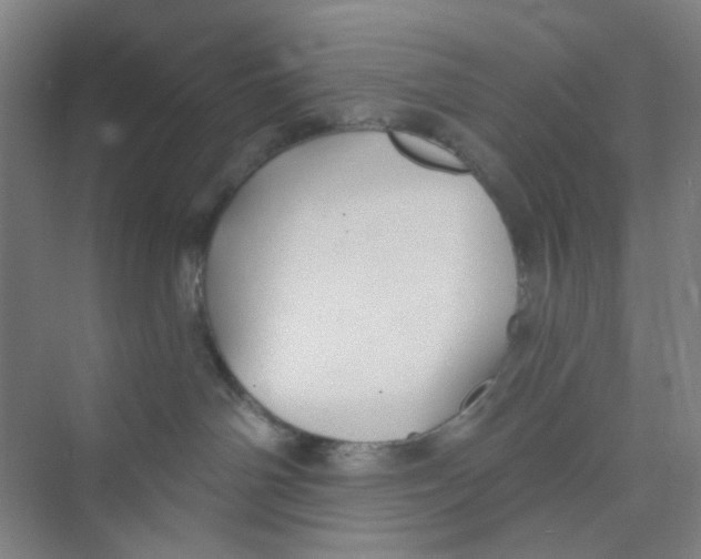 X0000074260142200609222200