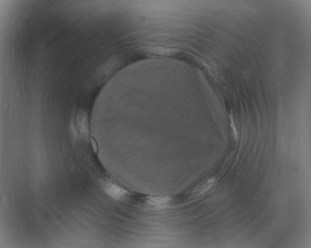 X0000074260143200609222200