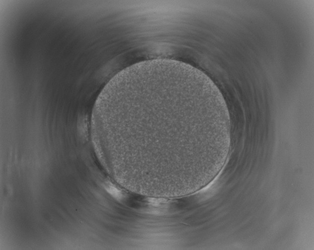 X0000074260144200609222200