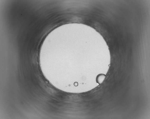 X0000074260146200609222200