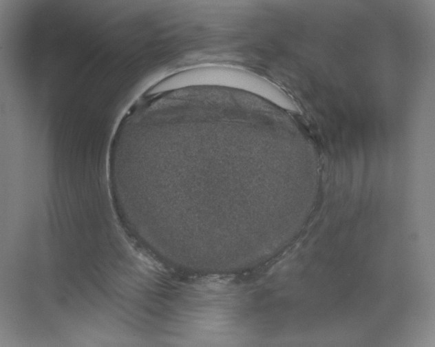 X0000074260148200609222200