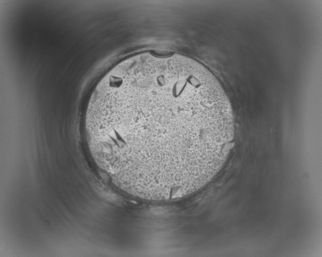 X0000074260149200609222200