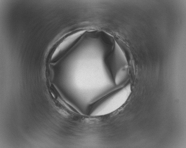 X0000074260150200609222200