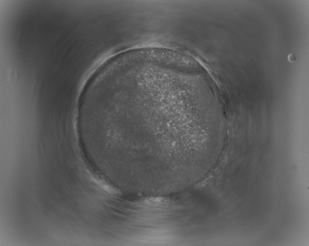 X0000074260152200609222200