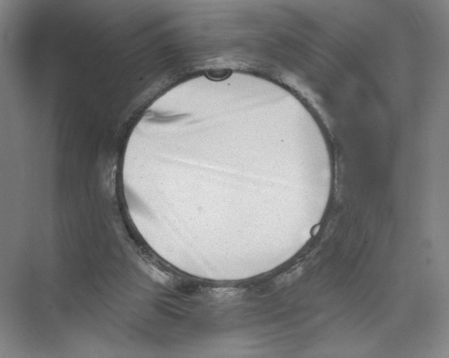 X0000074260153200609222200