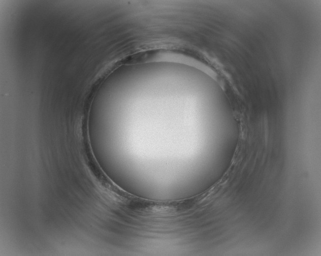 X0000074260154200609222200