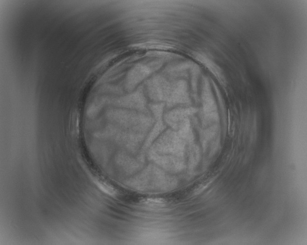 X0000074260157200609222200