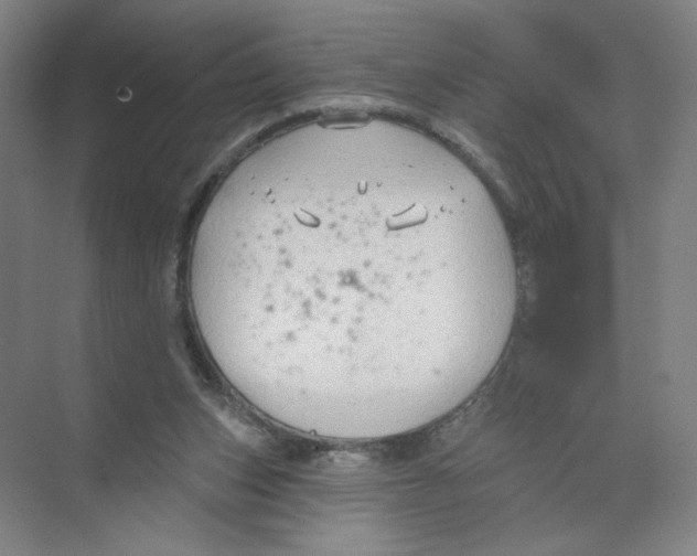 X0000074260159200609222200