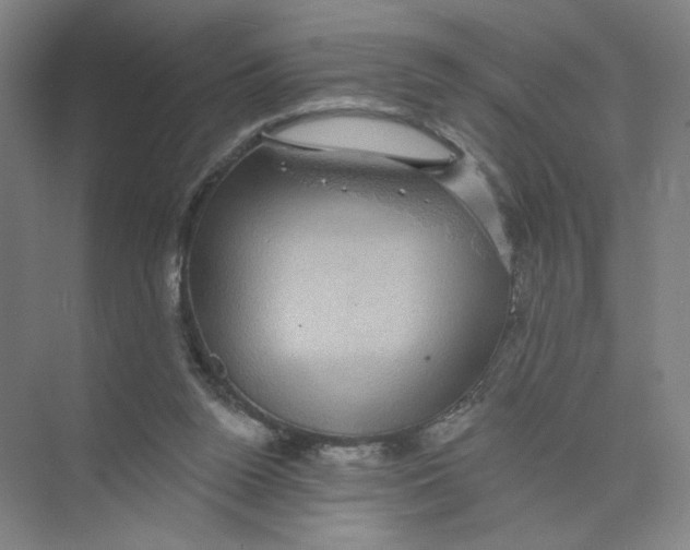 X0000074260160200609222200