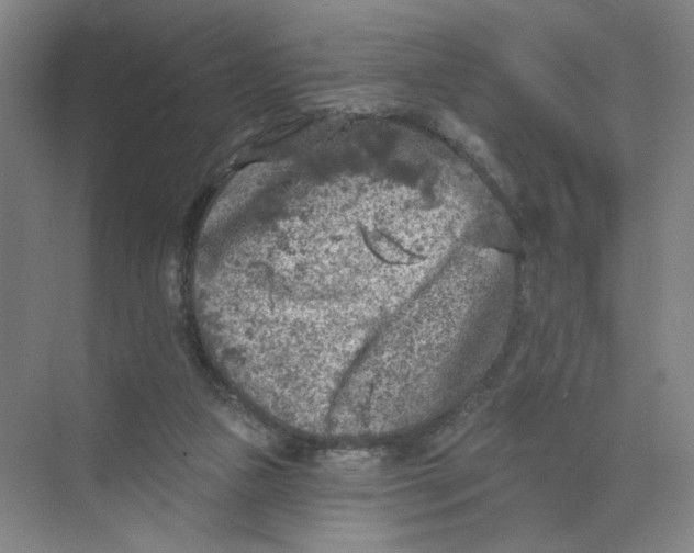 X0000074260161200609222200