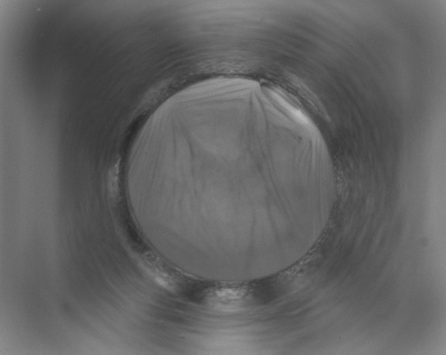 X0000074260163200609222200