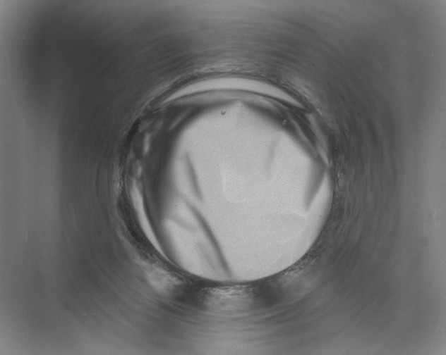 X0000074260164200609222200