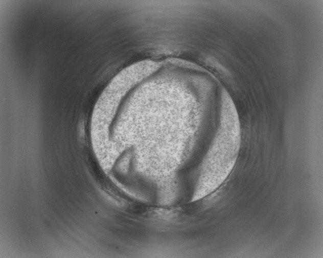 X0000074260166200609222200