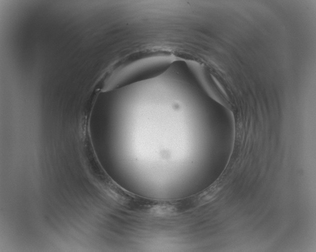 X0000074260168200609222200