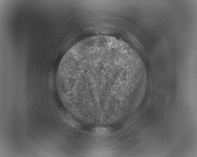 X0000074260169200609222200