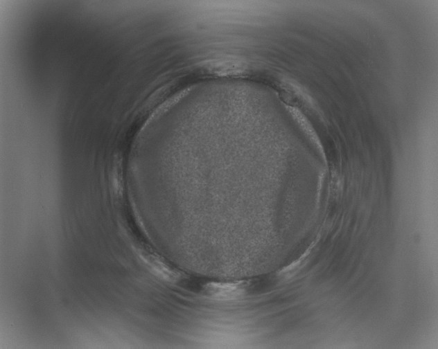 X0000074260170200609222200