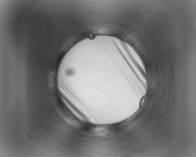 X0000074260171200609222200