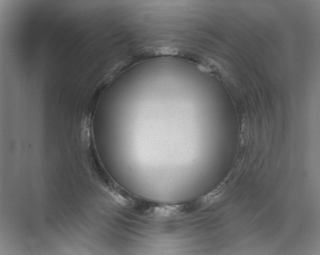 X0000074260172200609222200