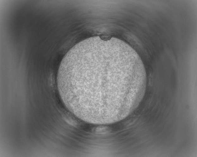 X0000074260173200609222200