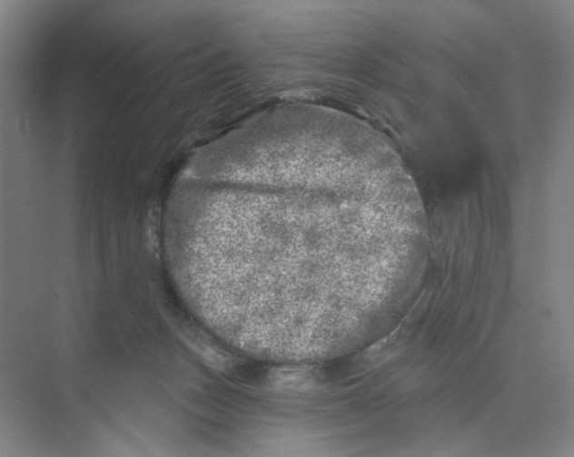 X0000074260175200609222200