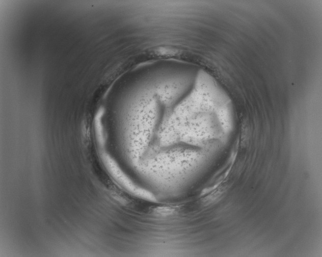 X0000074260176200609222200