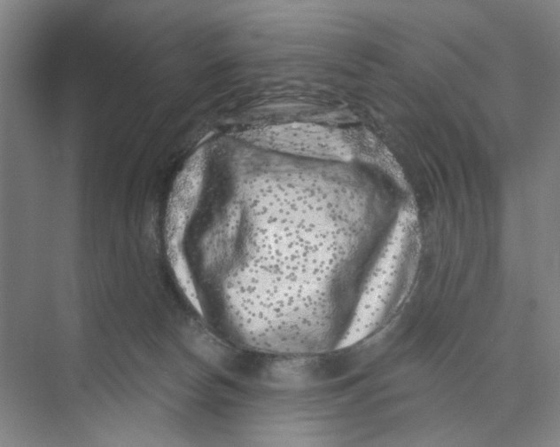 X0000074260178200609222200