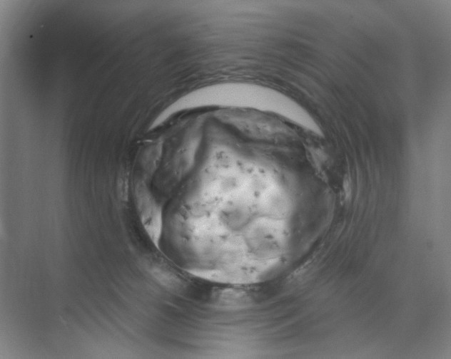 X0000074260180200609222200