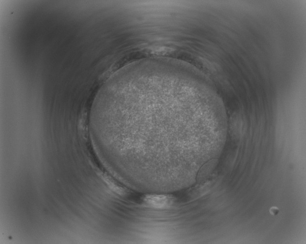 X0000074260181200609222200