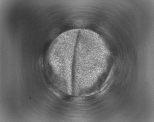 X0000074260182200609222200