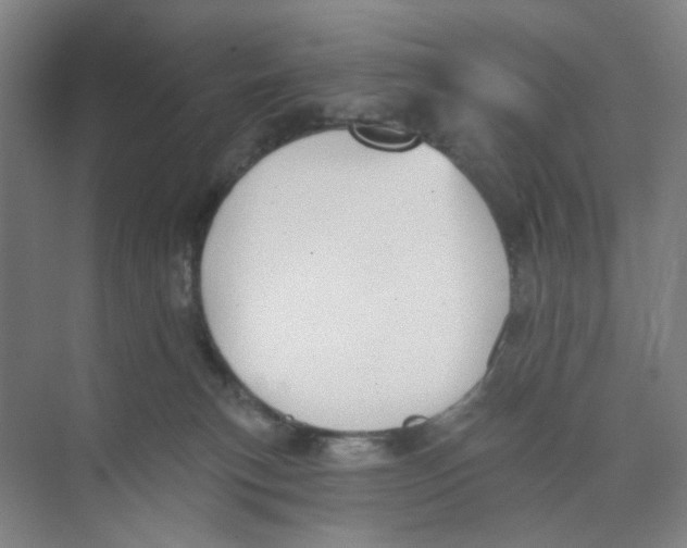 X0000074260183200609222200