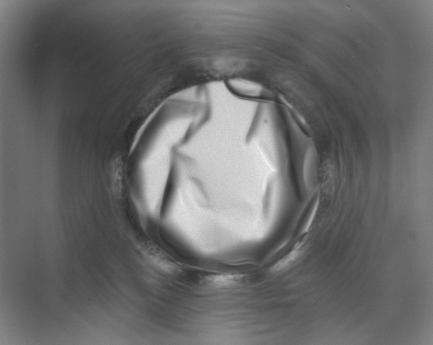 X0000074260184200609222200