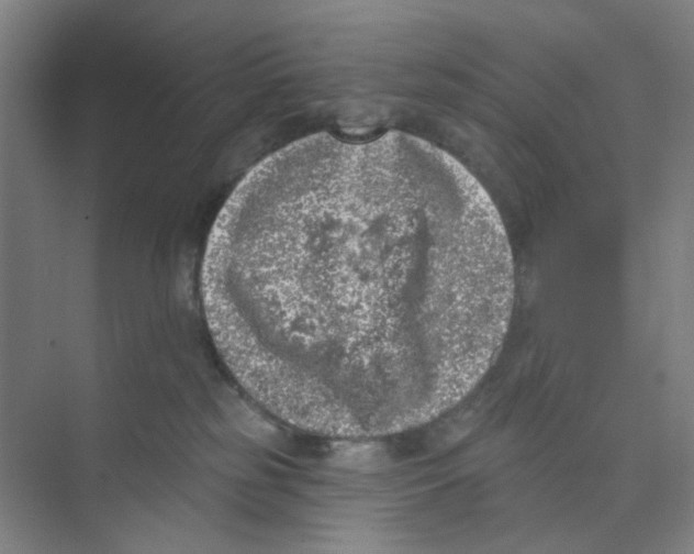 X0000074260185200609222200