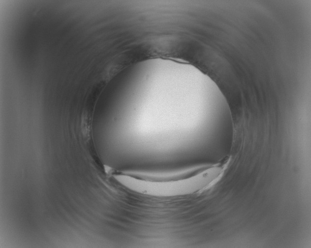 X0000074260186200609222200