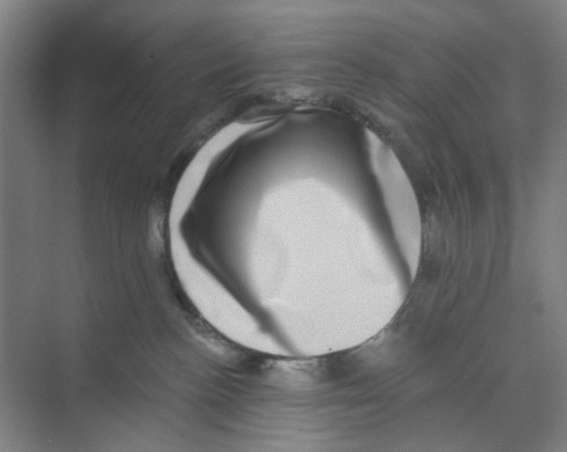 X0000074260188200609222200