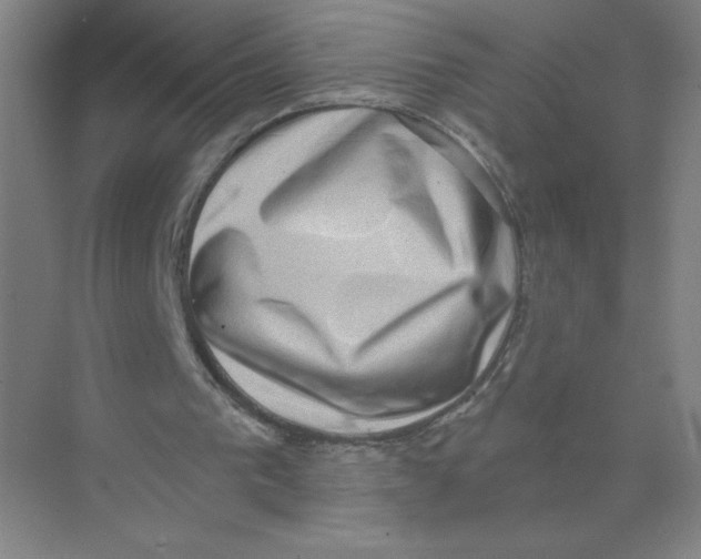 X0000074260193200609222200